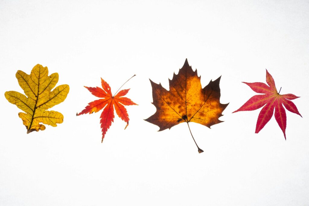 Autumn cosmetics arranged on a soft surface in warm light