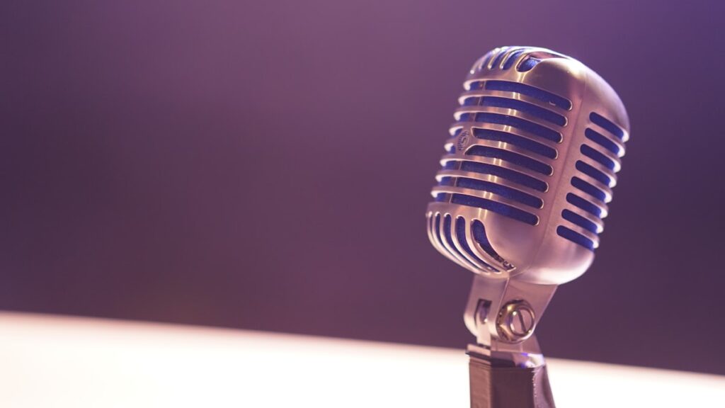 Microphone for Jelena Spajic interview